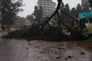 Alerta por tormentas: suspenden clases en el Este de la Provincia de Buenos Aires