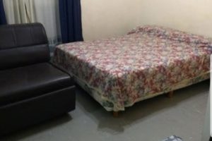 Mar del Plata: Televisión de tubo y ambiente a lo «Olmedo y Porcel»