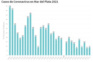 Se reportaron hoy en General Pueyrredon 9 casos de Covid