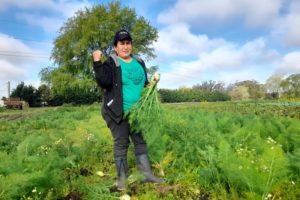 Este sábado inaugurarán un nuevo almacén de la UTT en Mar del Plata