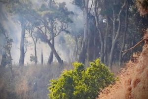 Recomiendan extremar cuidados para evitar incendios forestales y de pastizales