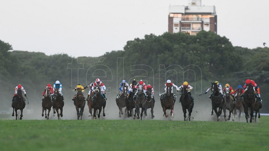Village King, de 7 años, ganó a puro corazón el Gran Premio Carlos Pellegrini