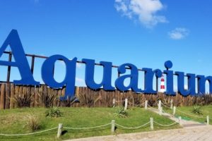 Se incendió un sector del parque marino Aquarium