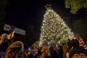 Se encendió el Arbol de Navidad de Plaza San Martín