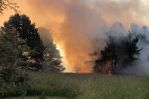 Varias dotaciones de bomberos trabajan en un incendio en El Marquesado
