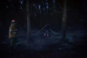 Intensifican medidas de seguridad con el Indice Meteorológico de Incendio Forestales