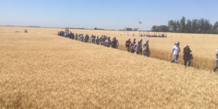 Récord del siglo: el campo aportó en 2021 unos u$s32.800 millones