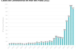 Mar del Plata arrancó el año con 977 contagios