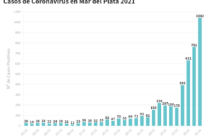 Mar del Plata cerró el año con más de 1000 casos
