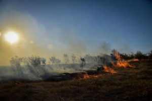 Piden extremar medidas para evitar incendios forestales