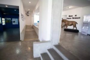 El Museo Lorenzo Scaglia avanza en obras para garantizar la accesibilidad