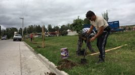El Plan Forestal del Bicentenario de Tandil avanza para plantar más de 10 mil árboles en cinco años