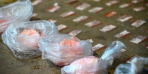 No hay registros de carfentanilo en Argentina y crece el misterio sobre cómo llegó ese opioide a la droga adulterada