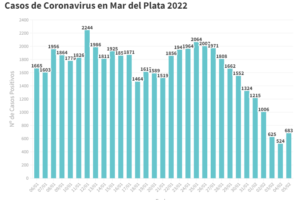 Confirmaron este sábado 683 nuevos contagios y 5 muertes