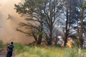 El Municipio solicita extremar medidas para evitar incendios forestales