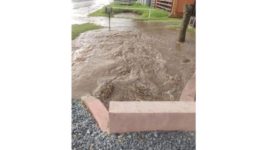 Enérgico reclamo de vecinos de la zona del Boliche de Noli