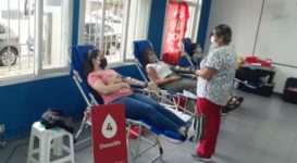Donación de sangre: lanzan la campaña “40×40” en conmemoración de la guerra de Malvinas