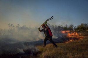 Piden extremar nuevamente cuidados para evitar incendios forestales