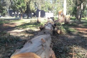 Defensores del pueblo renovaron su preocupación por el estado del Parque Camet