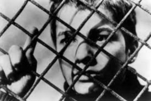 El Museo MAR presenta el ciclo “Breve encuentro con Francois Truffaut”