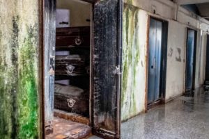 Profanación y vandalización en el Cementerio Parque: sólo hay explicaciones y silencios