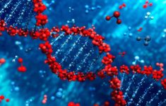 Histórico: por primera vez científicos lograron decodificar por completo un genoma humano