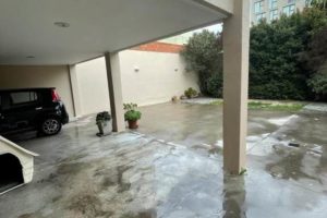 El Colegio de Arquitectos advierte sobre el arbolado urbano y el medio ambiente