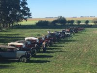 Tres Arroyos: el increíble remate de los autos antiguos que coleccionaba un excéntrico vecino