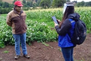 Denuncian que la mitad de los productores frutihortícolas de la ciudad no fue censada
