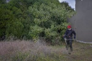 Realizaron trabajos de mantenimiento en un terreno abandonado en Alem y Avellaneda