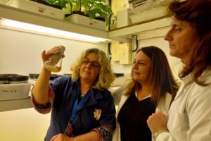 Científicas trabajan en un proyecto de cervecerías sustentables