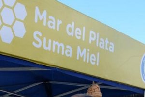 Continúa la actividad de los productores locales con “Mar del Plata suma miel”