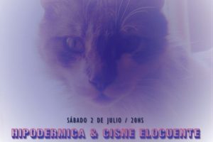 El Galpón de las Artes anuncia el volumen 3 del ciclo “Viv@ la creación”