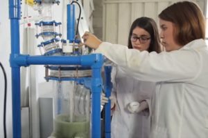 Acuerdo entre CONICET e YPF Tecnología sobre nanotecnología para agroinsumos