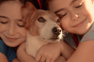Teatro, cine y variedades en “A desaburrir el invierno”