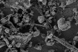 Científicos locales trabajan en un material con capacidad de eliminar virus de diversas superficies