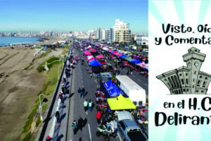 Visto, oído y comentado en el H. C. Delirante