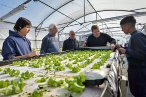 Alumnos de la Técnica N° 1 continúan con el desarrollo de proyectos productivos