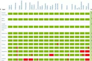 General Pueyrredon volvió a obtener el primer puesto en “Gobierno abierto y transparente” a nivel nacional