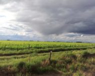El SMN emitió alerta amarilla por lluvias para el sur bonaerense