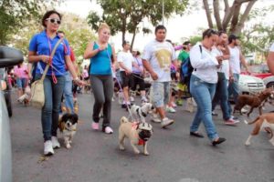 Presentarán en sociedad una “Pet Run” organizada por Palestra