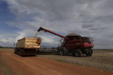 “Dólar soja” imparable: en dos días se vendieron 2,13 millones de toneladas