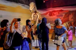 Fin de semana largo: Variada actividad cultural con museos abiertos hasta la medianoche