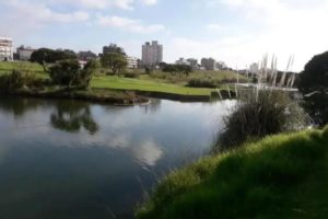 Crearán un Parque Ambiental en Punta Mogotes