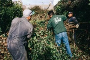 Extrajeron 84 toneladas de residuos de terrenos privados abandonados