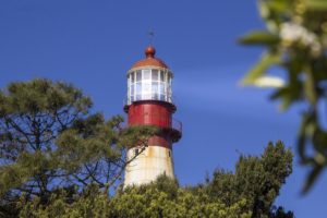 Este sábado regresan las actividades artísticas en el Faro de la Memoria
