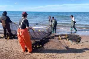 Profesionales del INIDEP asesoraron a pescadores artesanales y capacitaron a inspectores de pesca
