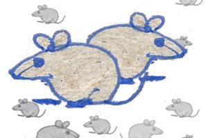 Se pueden visitar tres muestras en el Teatro Auditorium