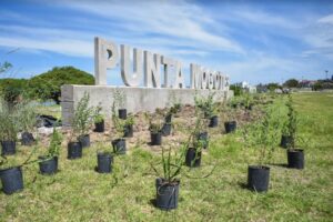Plantaron 330 ejemplares de nativas en el Complejo Punta Mogotes