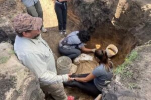 Continúan las tareas de rescate paleontológico en Necochea